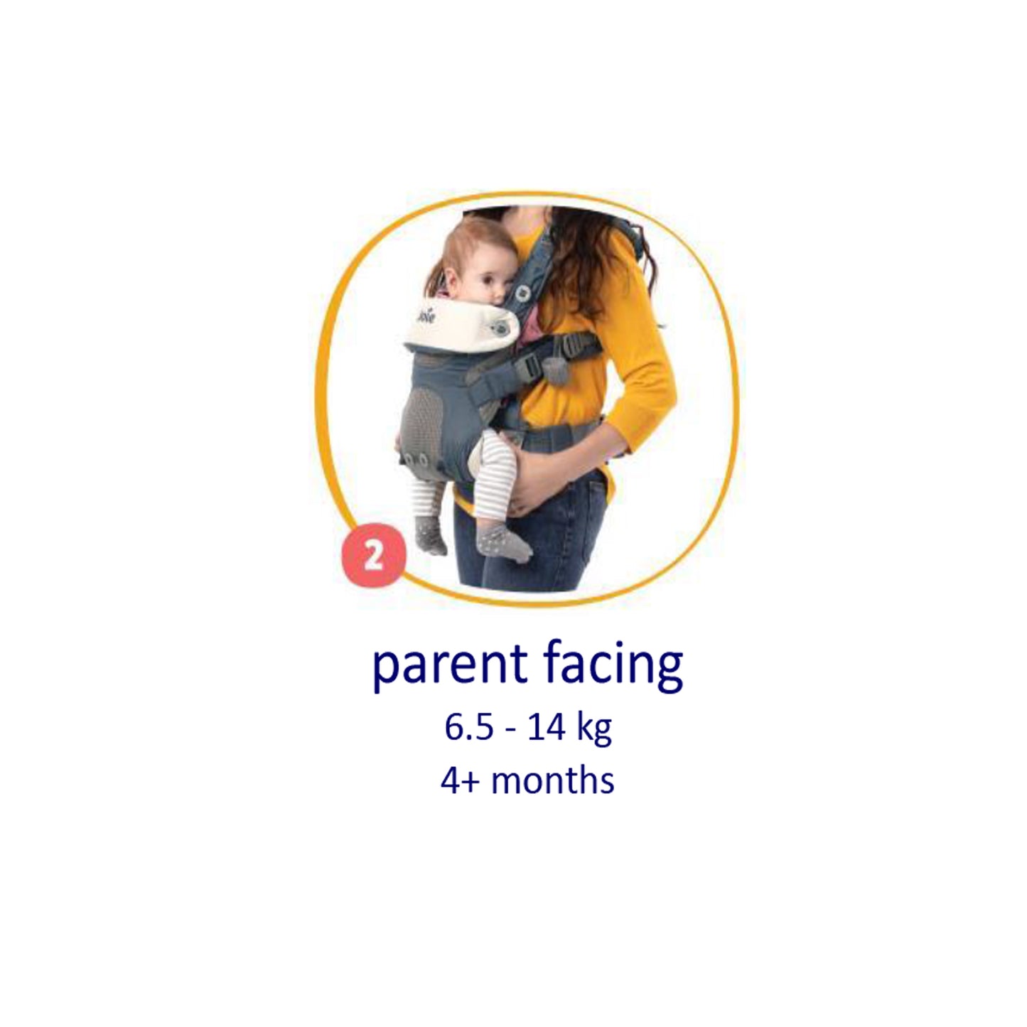 JOIE_BABY CARRIER_SAVVY BODY CARRIER