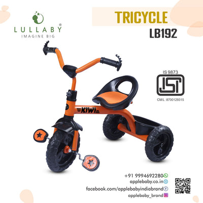 LB192_DORA PLAIN TRICYCLE