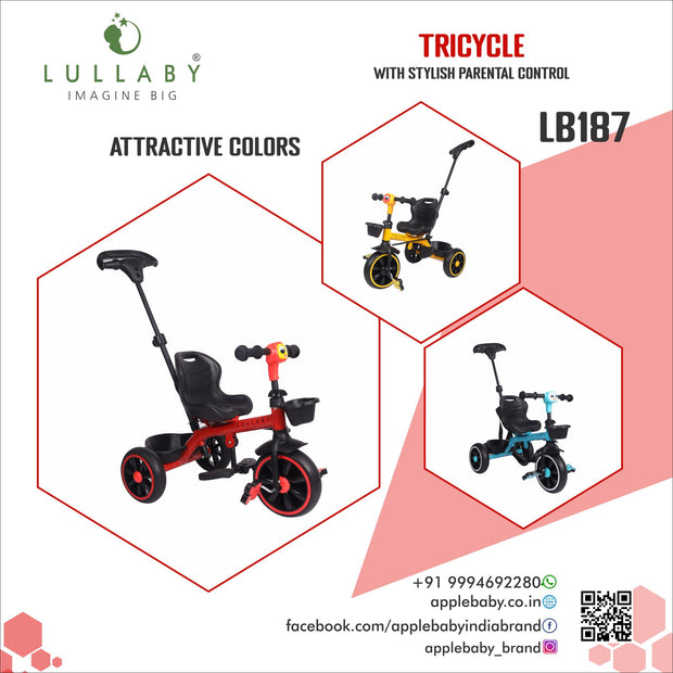 LB187_TURBO TRICYCLE
