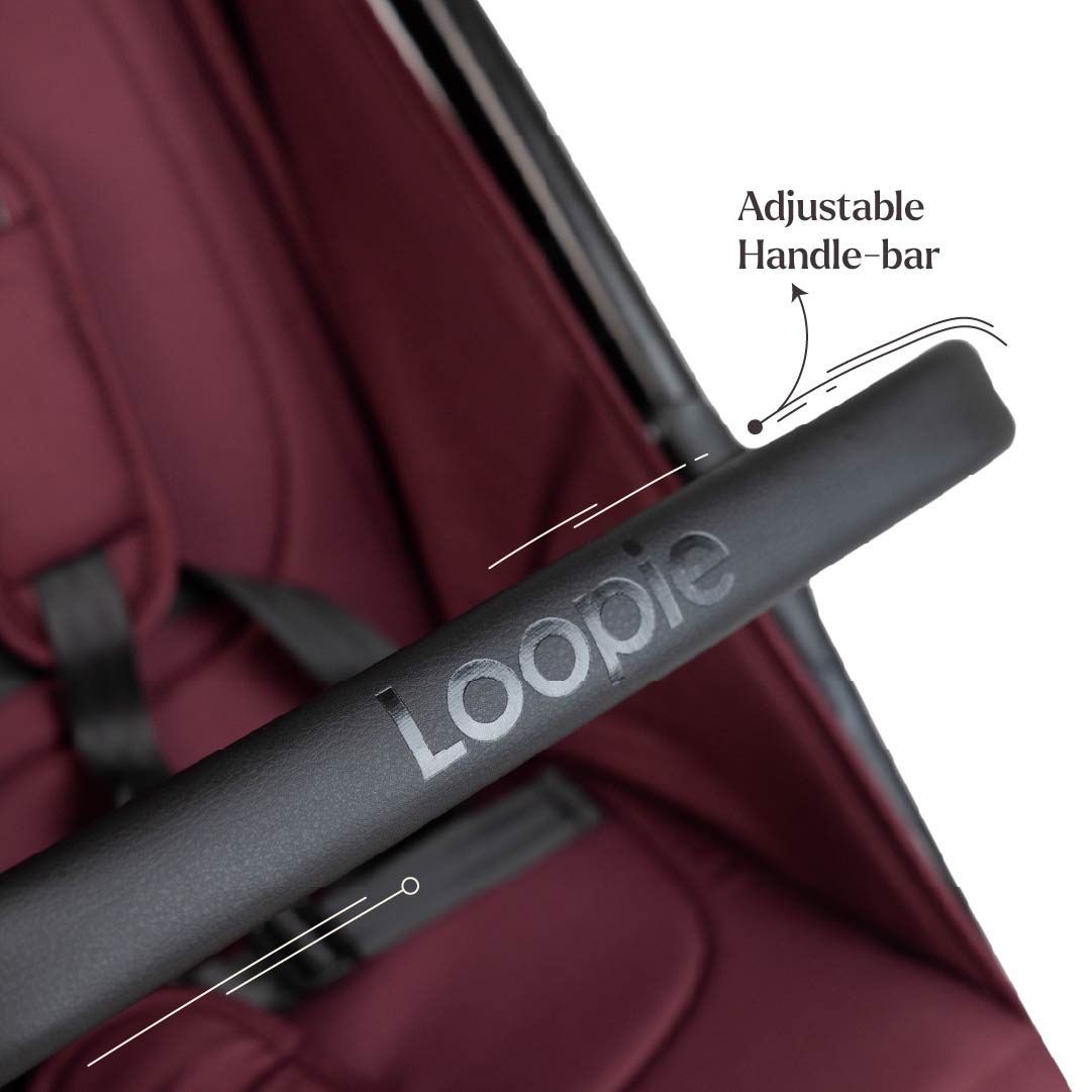 Loopie Hop Premium Baby Stroller | Travel-Friendly Compact Fold | Ages 0-4 Years | Black Charcoal