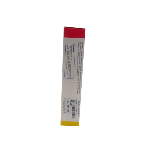 Pigeon Children Toothpaste Fruit Punch 45G